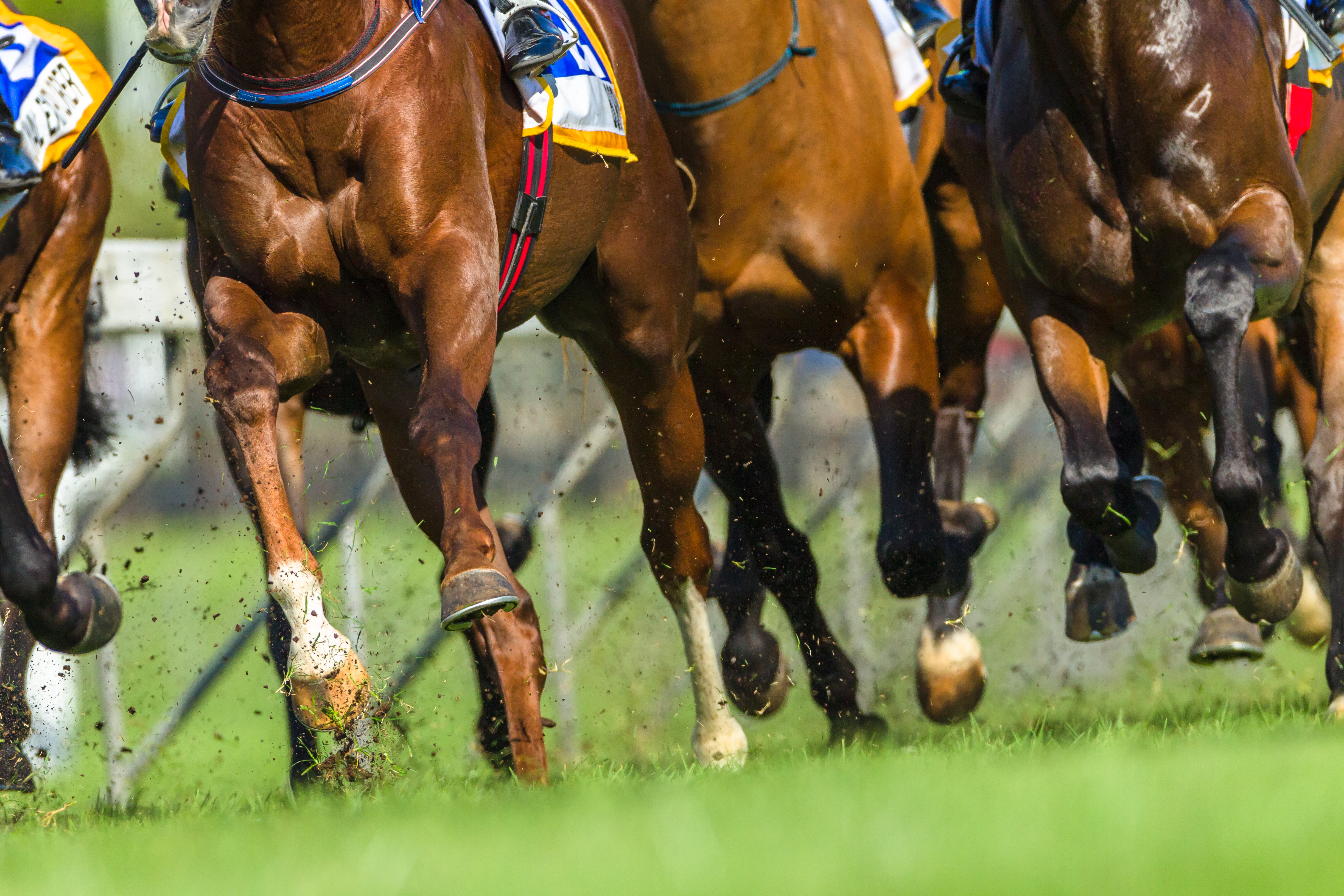 Article image for Confirmed: How Victorian racing dodged another coronavirus scare