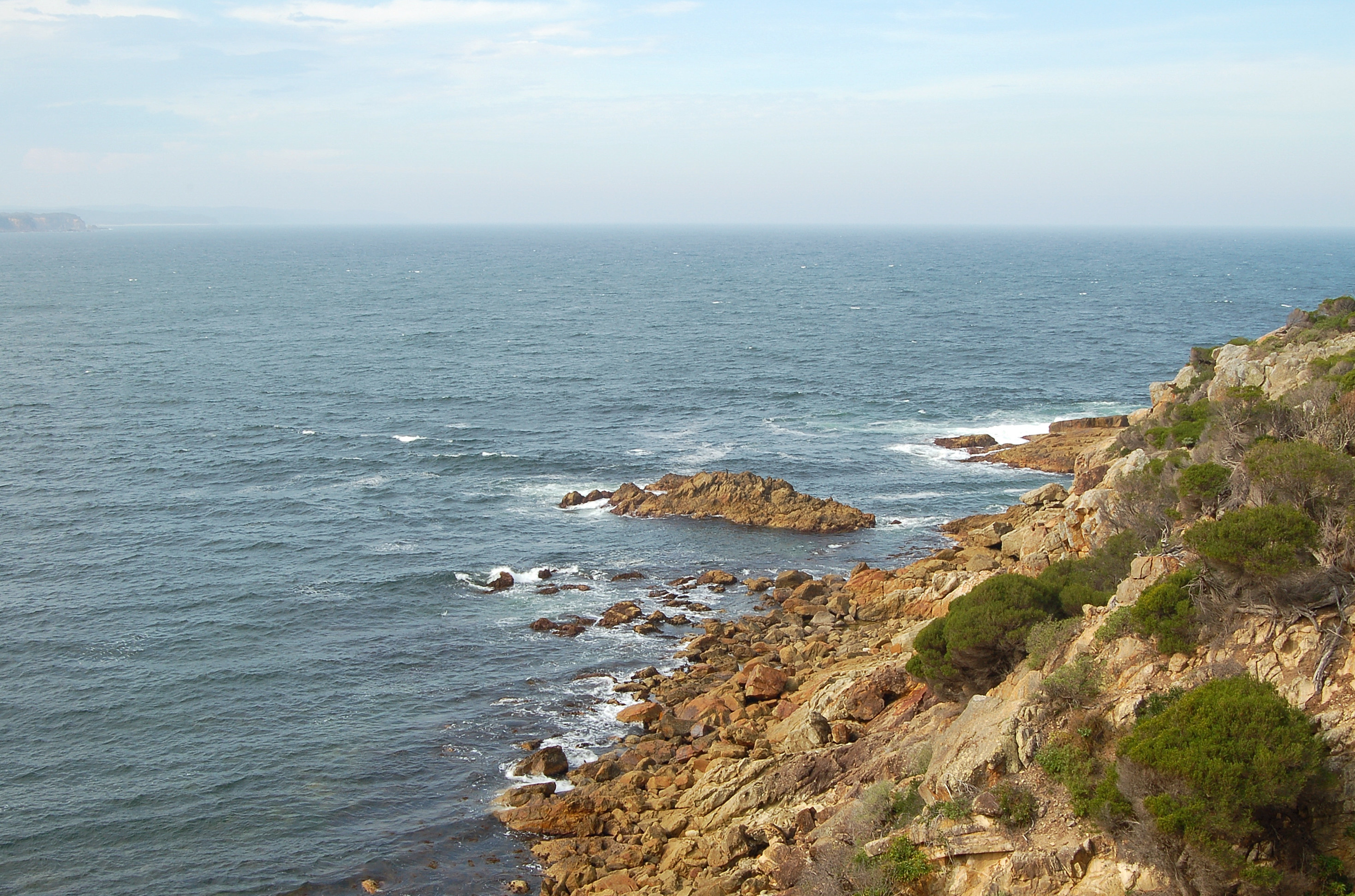 Article image for Victorian man missing after going swimming on NSW South Coast