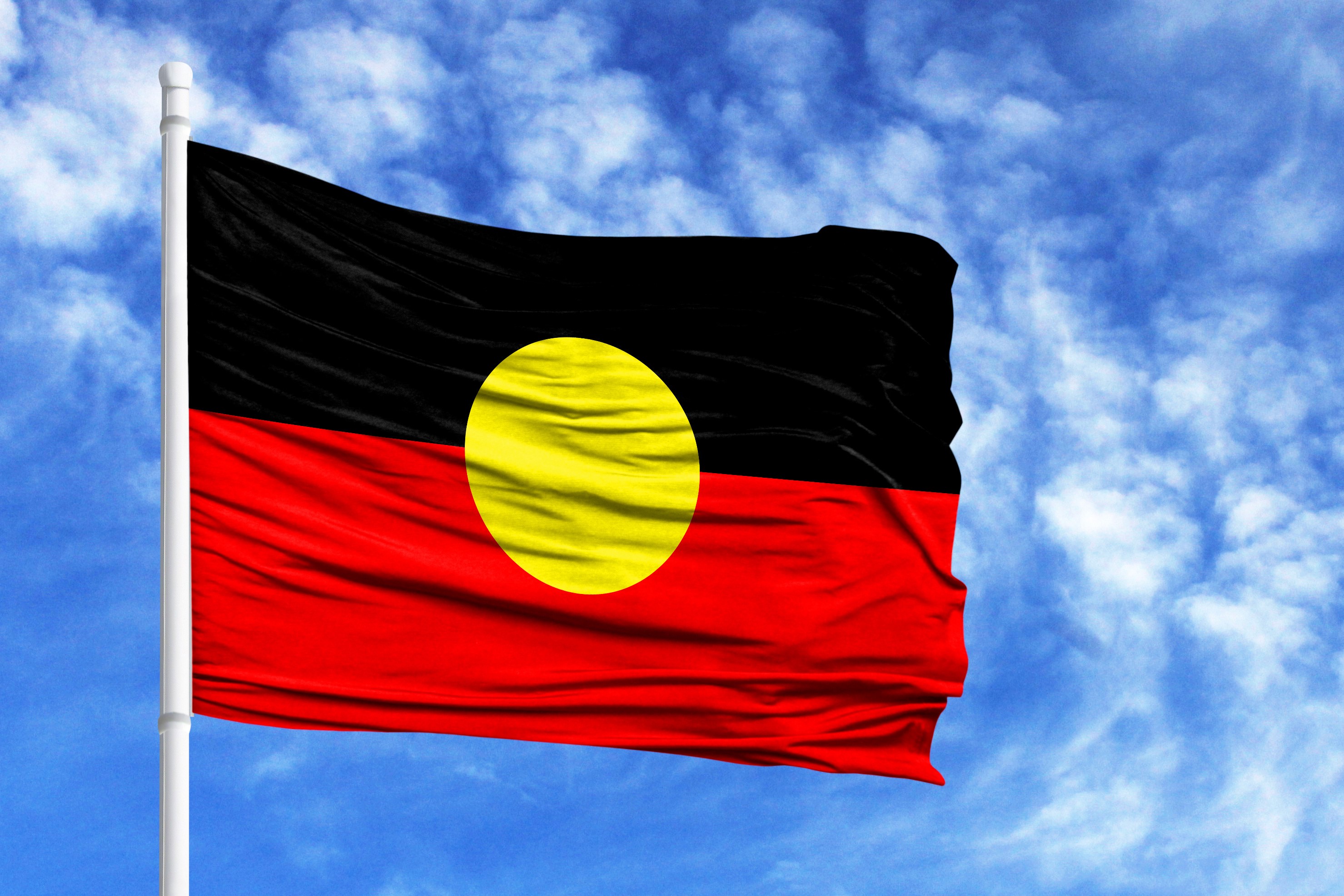 Article image for ‘We thought the flag belonged to the people’: Calls for government to buy Aboriginal flag copyright