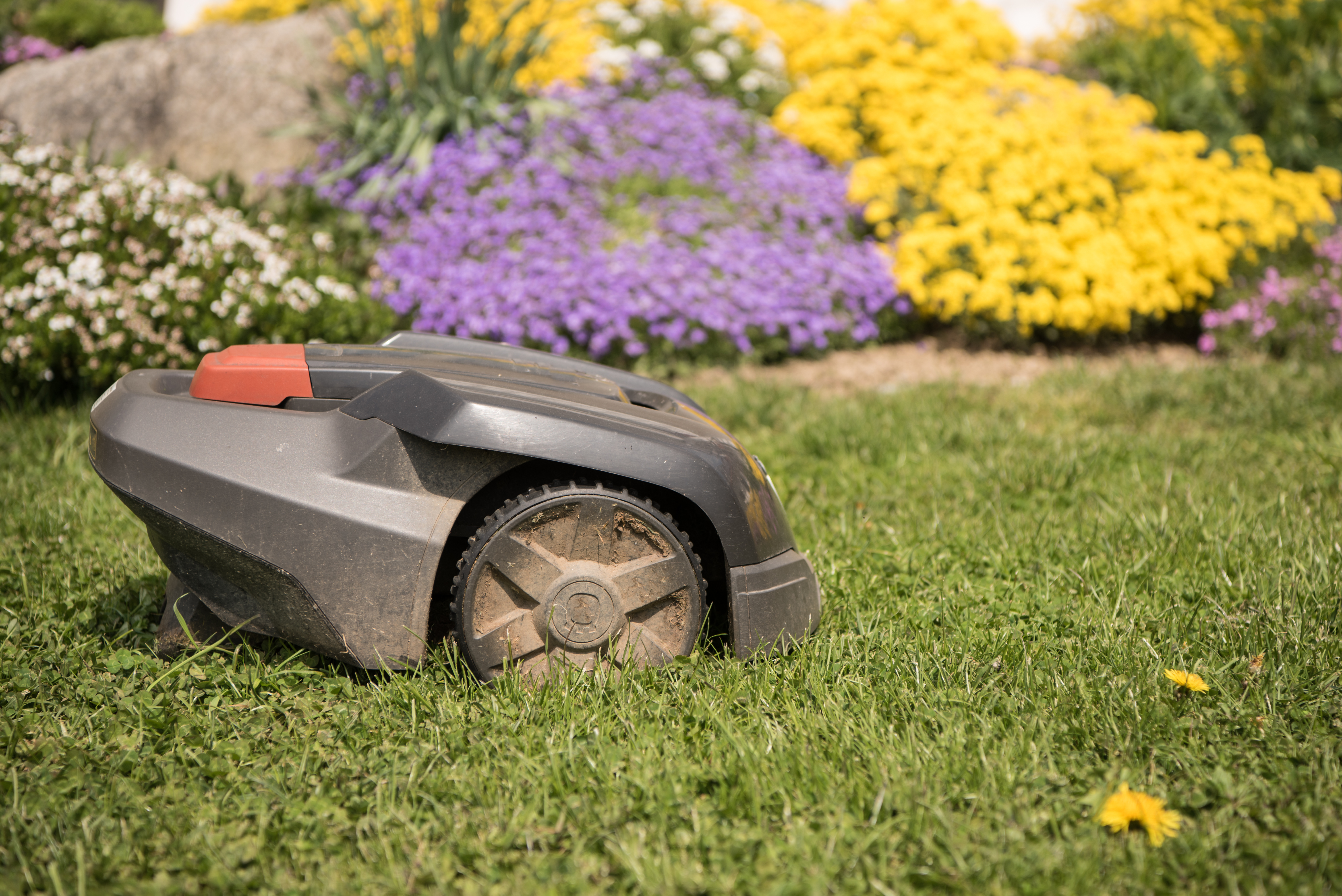 Article image for Lawnmowers next victim in age of automation