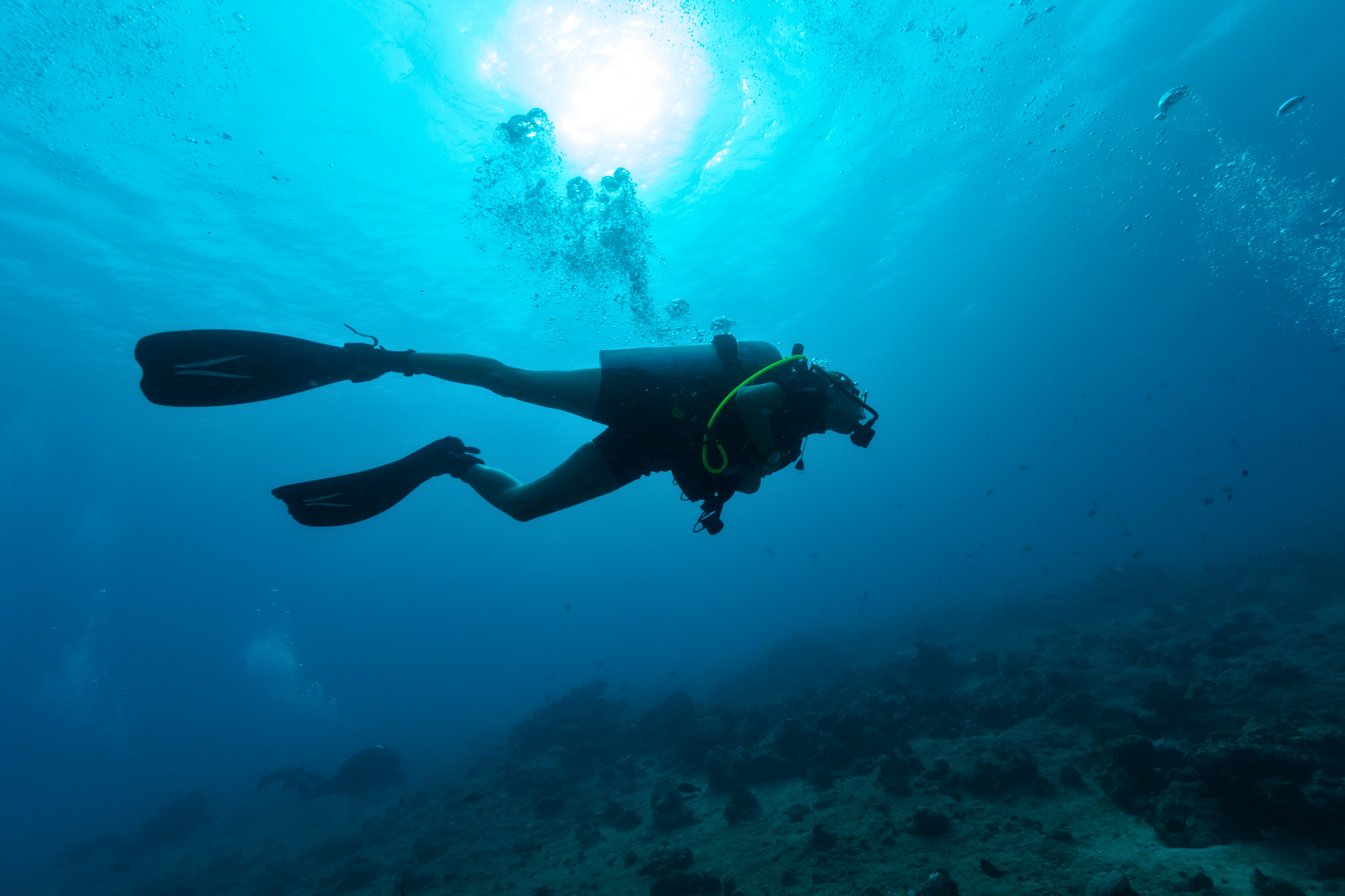 Article image for Diver’s ‘brush with death’ following minor coughing fit underwater