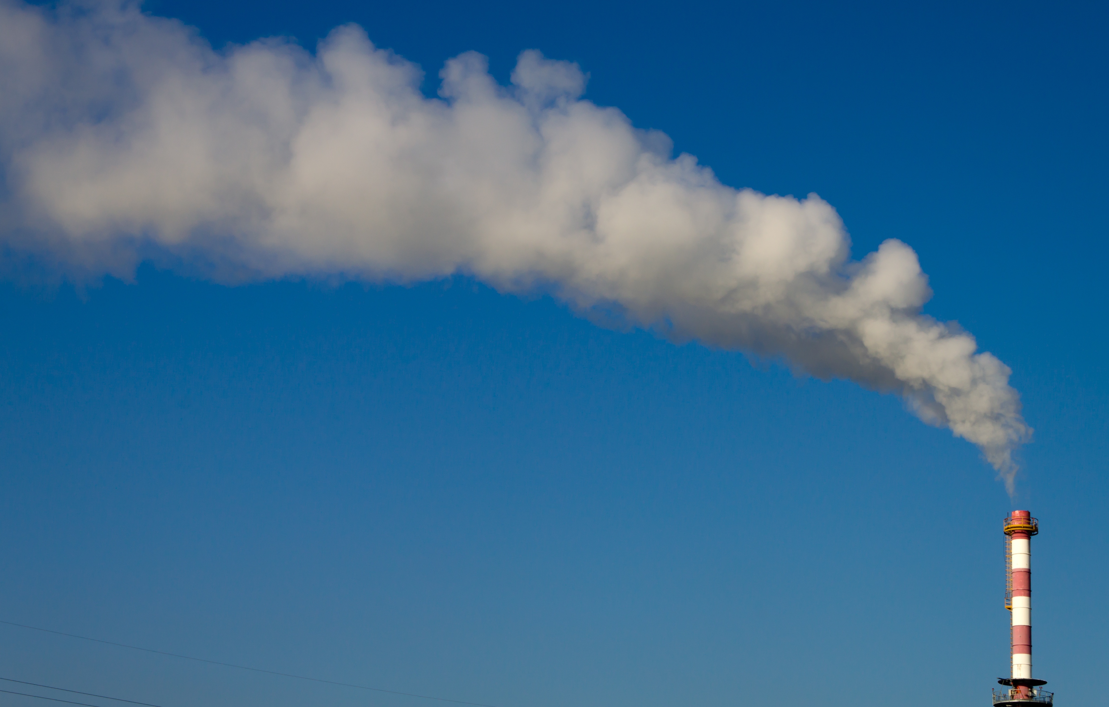 Article image for ‘It’s a shortcut solution to the waste and recycling crisis’: Greens call for ban on burning waste for energy