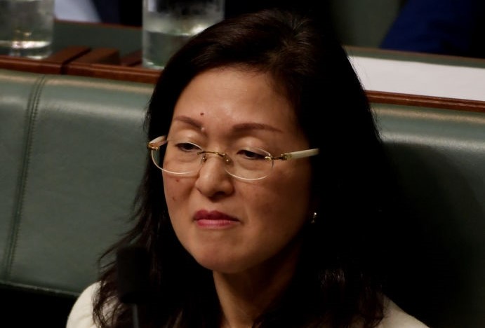 Article image for Liberal backbencher Gladys Liu admits past links to groups tied to Chinese government