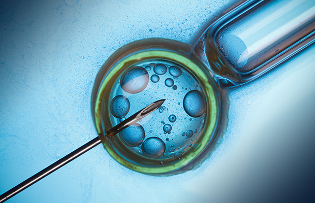 Article image for Melbourne researchers’ IVF breakthrough