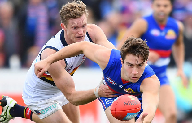 Article image for Adelaide defender requests trade to Western Bulldogs