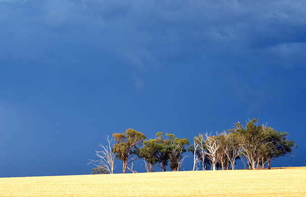 Article image for State of drought and rain: Victoria’s ‘different’ winter