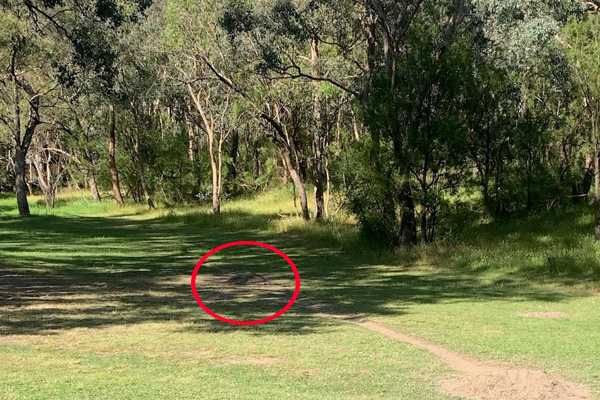 Article image for ‘Overkill’: Melbourne council brings in bobcat to rip out bike jumps built by kids in park