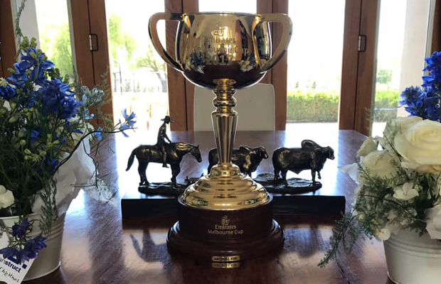 Article image for Update: The 2017 Melbourne Cup has been stolen