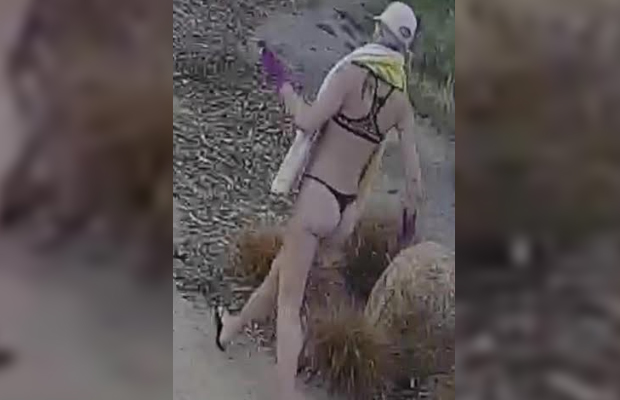 Article image for ‘Bikini bandit’ busted over alleged burglary on Mornington Peninsula