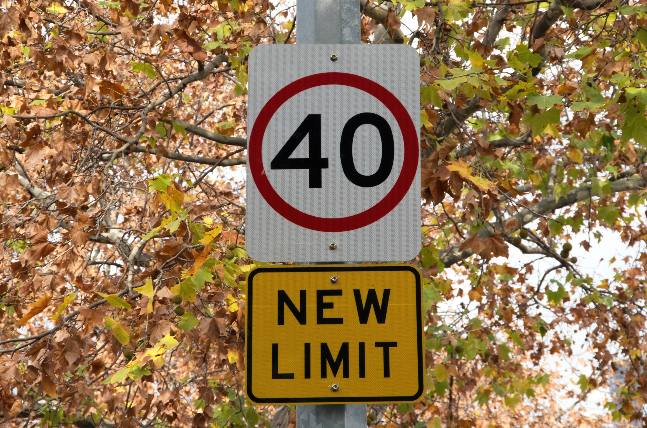 Article image for Push to make ALL suburban streets 40km/h