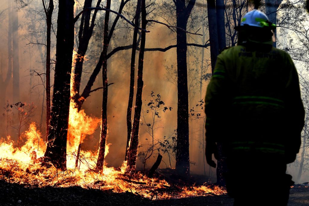 Article image for ‘There’s no let up in sight’: NSW faces unprecedented bushfire danger