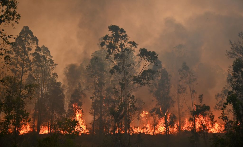 Article image for ‘Catastrophic’ bushfire season: NSW declares state of emergency, Victorians warned to be alert