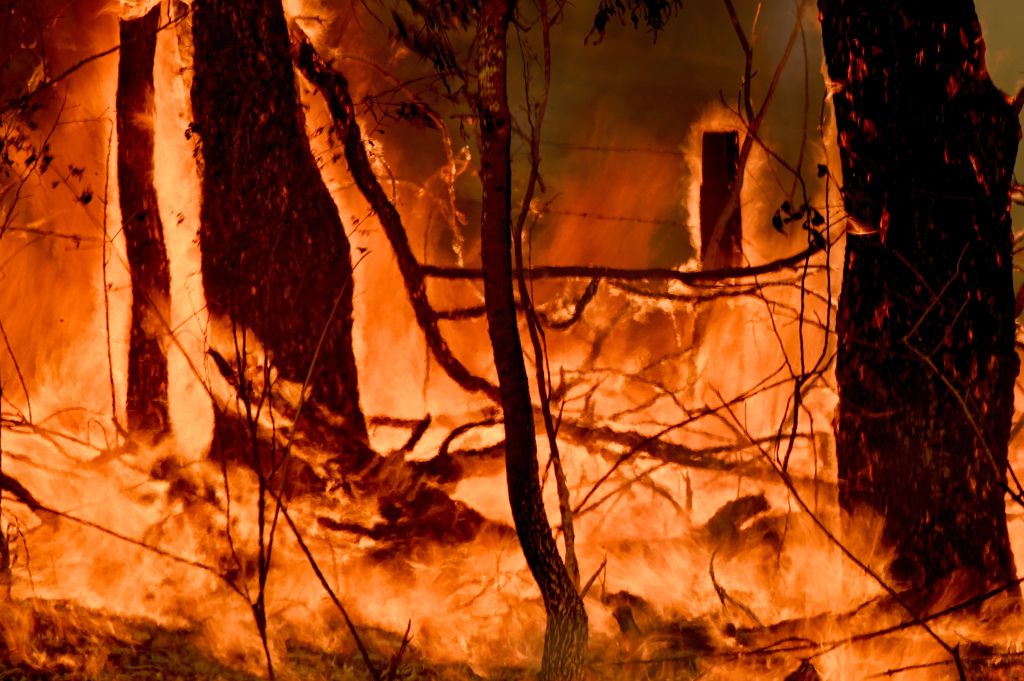 全澳火灾风险评估榜单出炉：维州10地最危险！多个网红景点、大洋路危机重重（组图） - 1