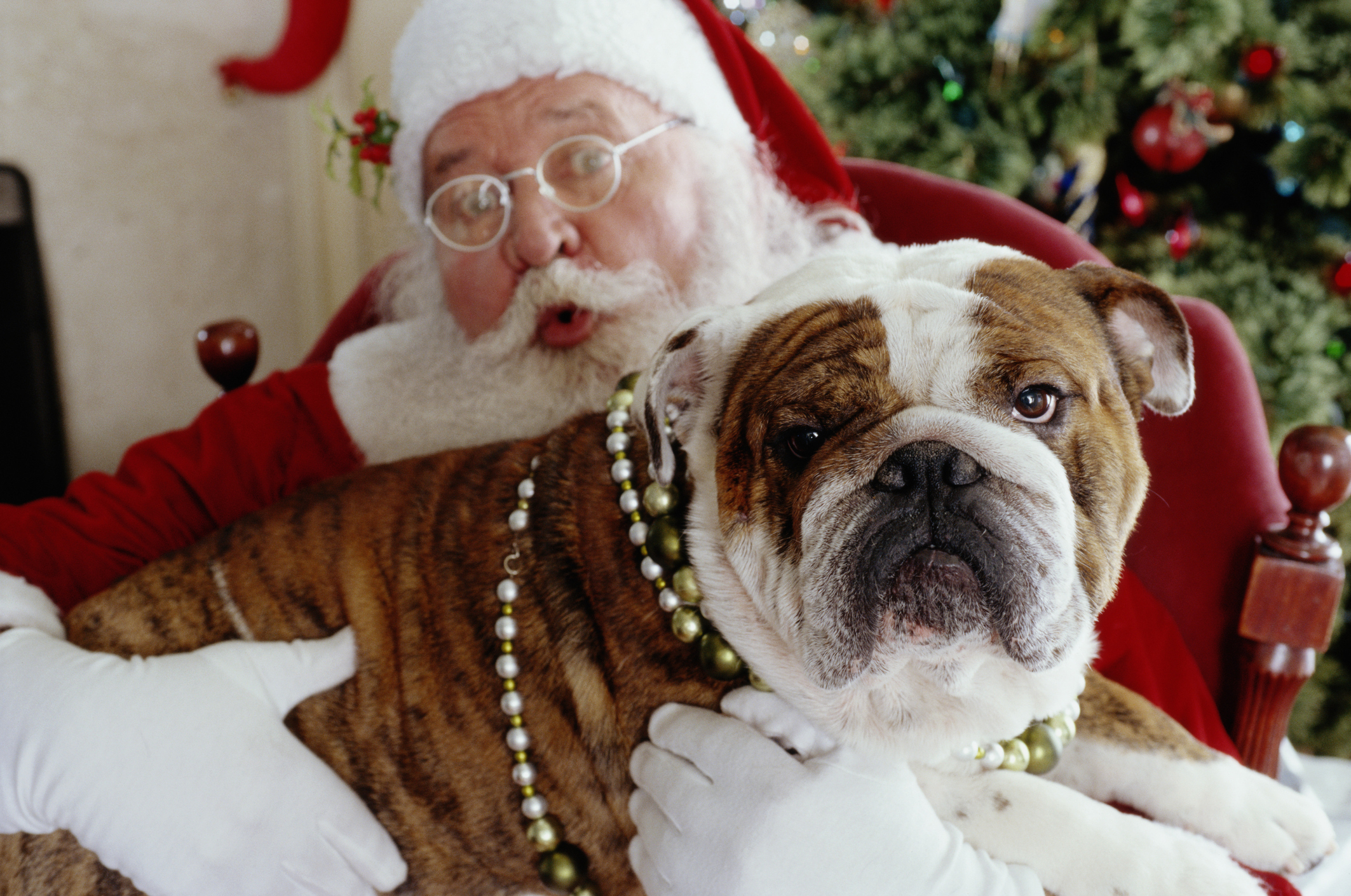 Article image for Westfield Doncaster increases Santa hours due to increasing demand