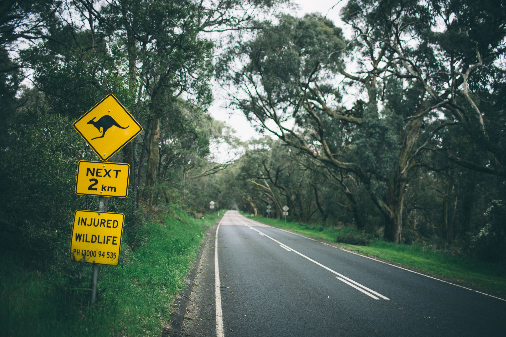 Article image for Calls for speed limits to be cut as Mornington Peninsula road toll surges