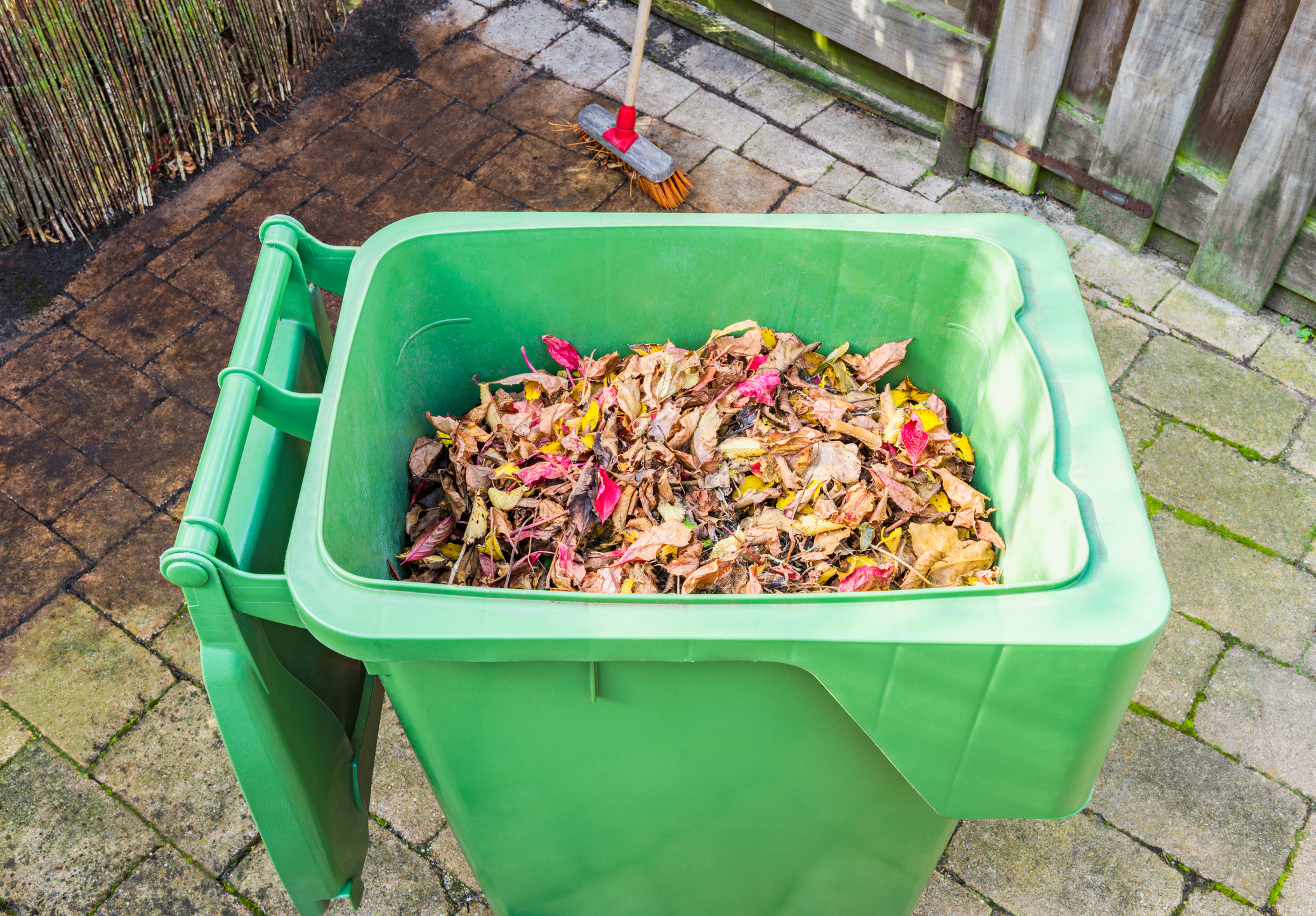 Article image for ‘It’s not hard’: Calls for households who dump wrong thing in green bin to be fined