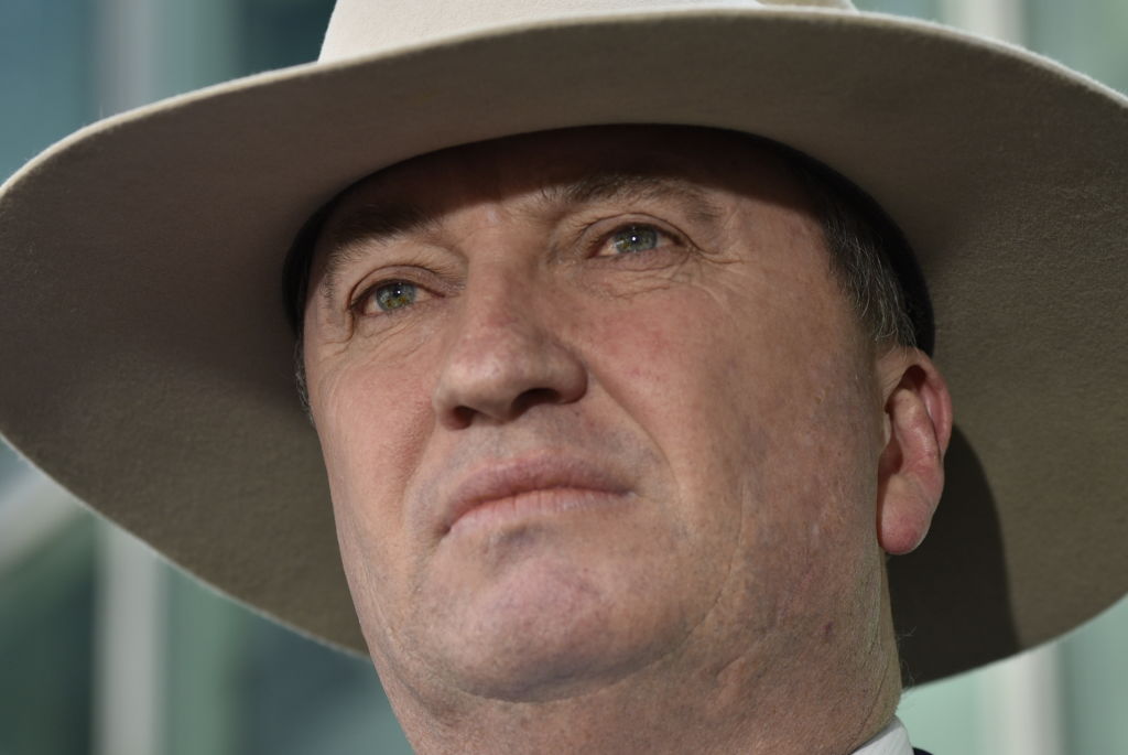 Article image for Barnaby Joyce slammed after suggesting two people who died in NSW bushfires ‘most likely’ voted for The Greens