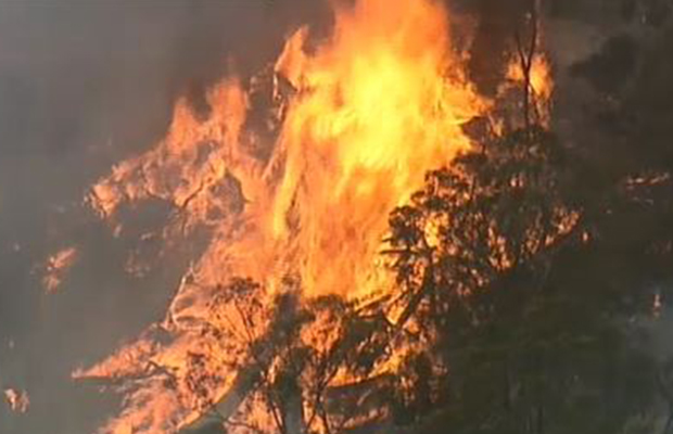 Article image for Disaster dodged as crews keep dangerous Plenty Gorge blaze away from homes