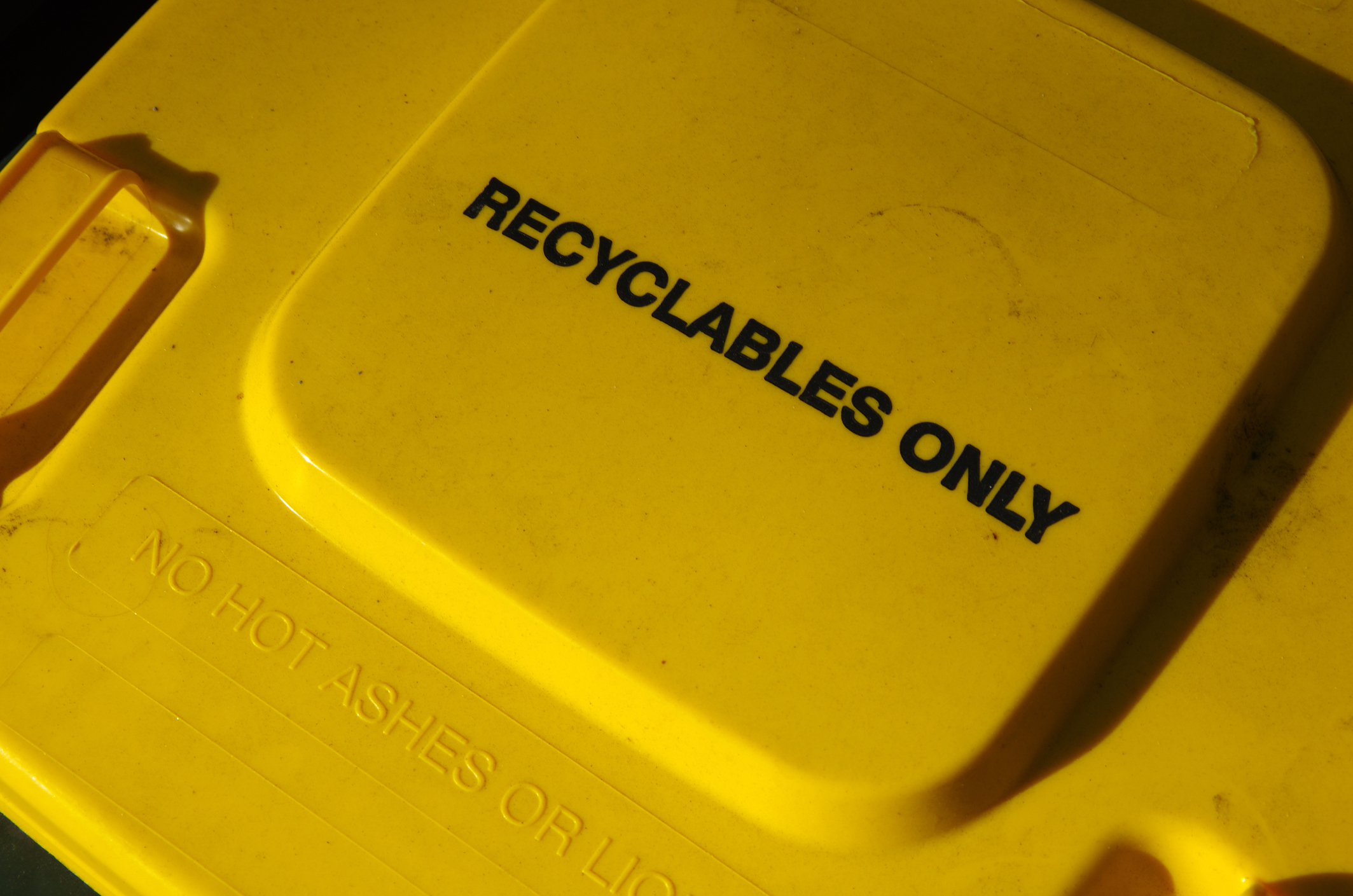 Article image for What you SHOULD and SHOULDN’T put in your recycling bin!