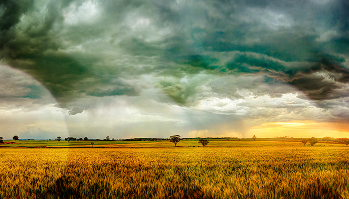 National Rural News December 11