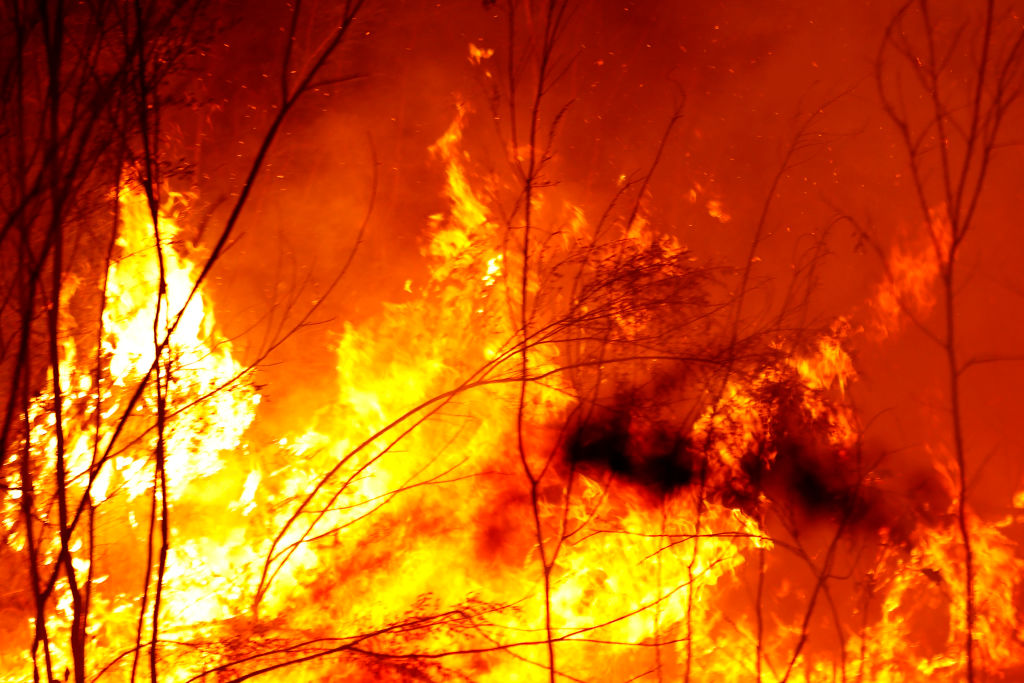 Article image for East Gippsland residents forced onto the beach as Tamboon fire escalates