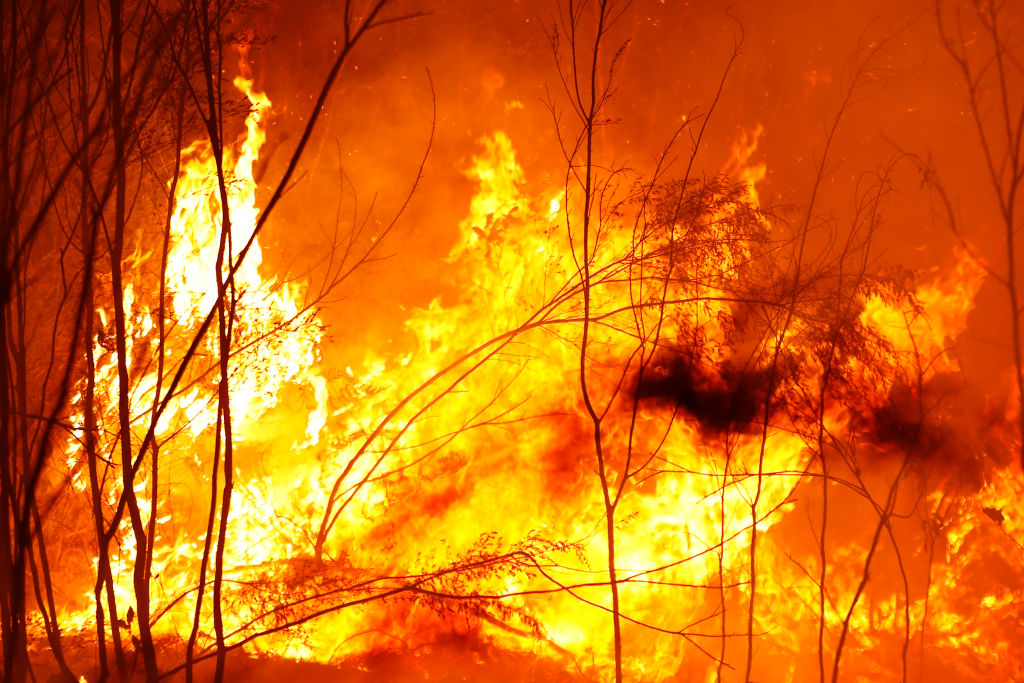 Article image for Dr Michael Carr-Gregg’s five tips on how to help kids cope with the bushfires