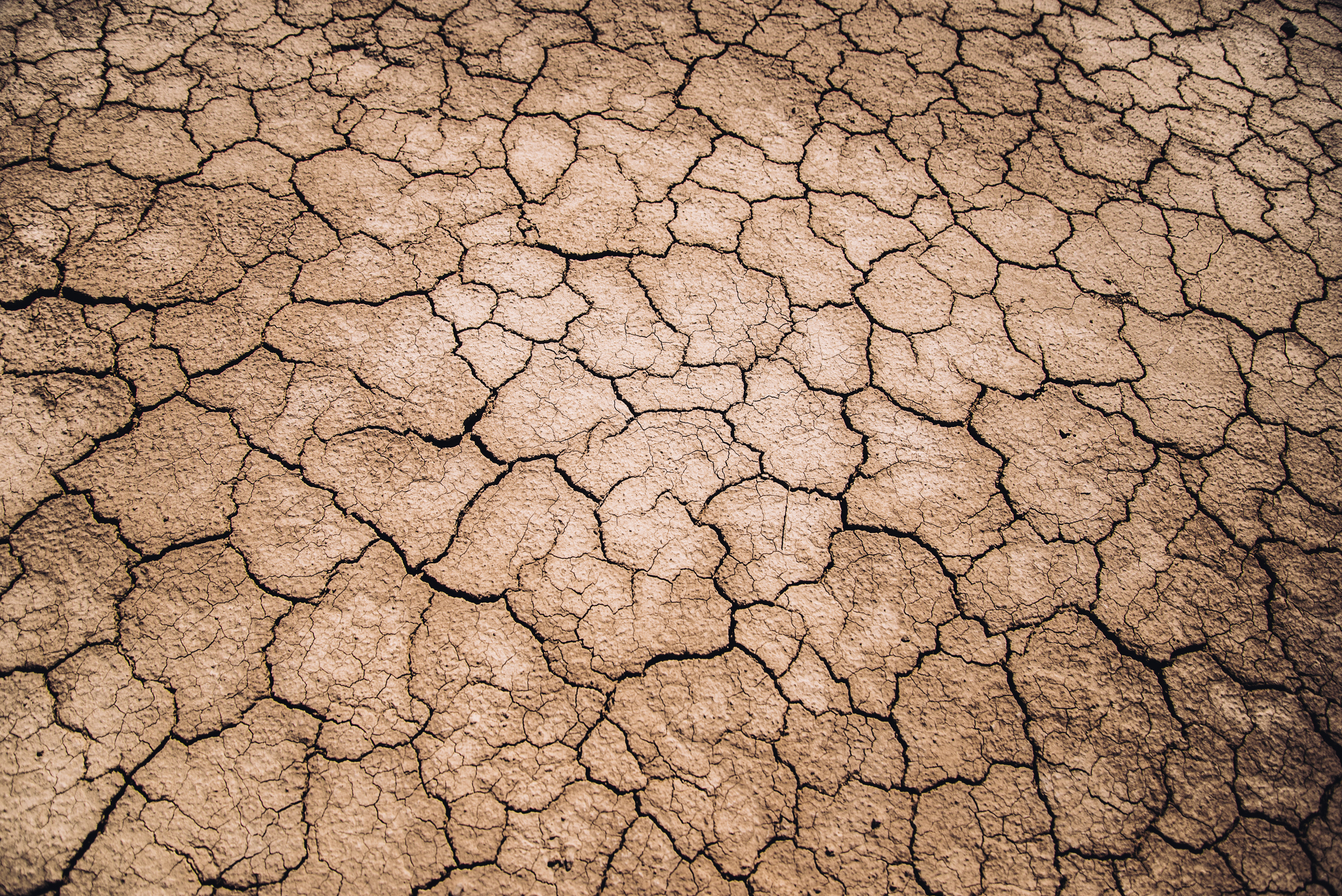 Article image for Melbourne ‘at risk’ of running out of fresh water by 2050