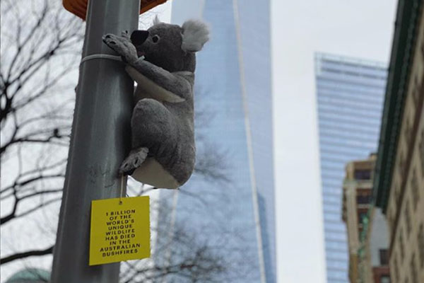 Article image for Why toy koalas have appeared all over New York City