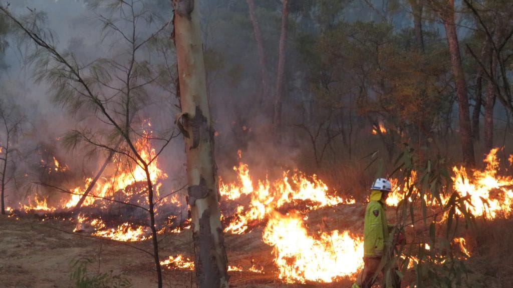 David Packham: Fires have settled, but the heat is still on