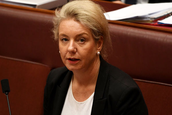 Article image for ‘A terrible look for the government’: Senator McKenzie resists calls to stand down