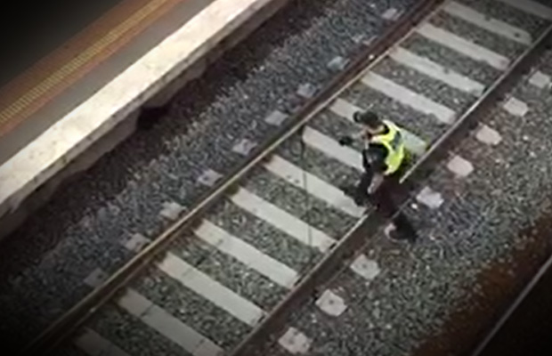 Article image for Video: Hero PSO saves cat from train tracks at busy Melbourne station