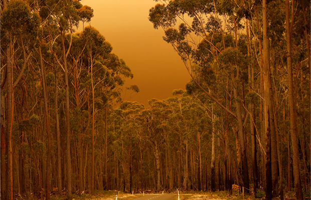 Article image for BUSHFIRES LATEST: Rain falls but provides little help, authorities warn of long ordeal