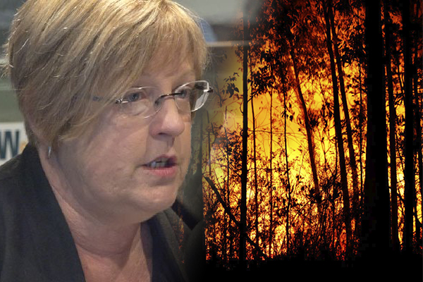 Article image for ‘Explosive situation’: Emergency Services Minister’s warning amid ‘unprecedented’ fire conditions