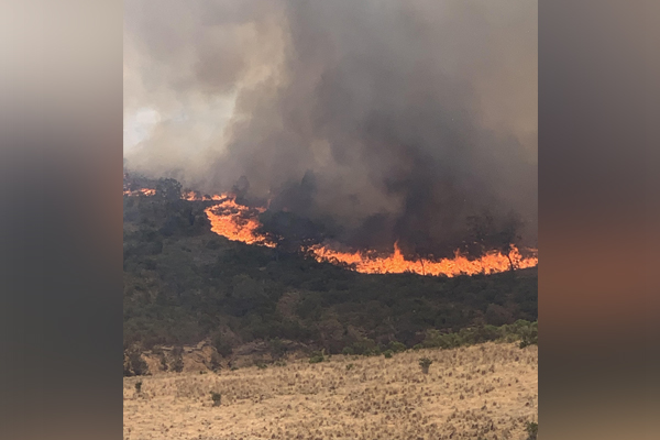 Article image for ‘Very, very close to houses’: Fire threatens homes in Sunbury