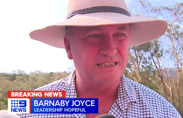 Article image for Barnaby Joyce fails to win back National Party leadership