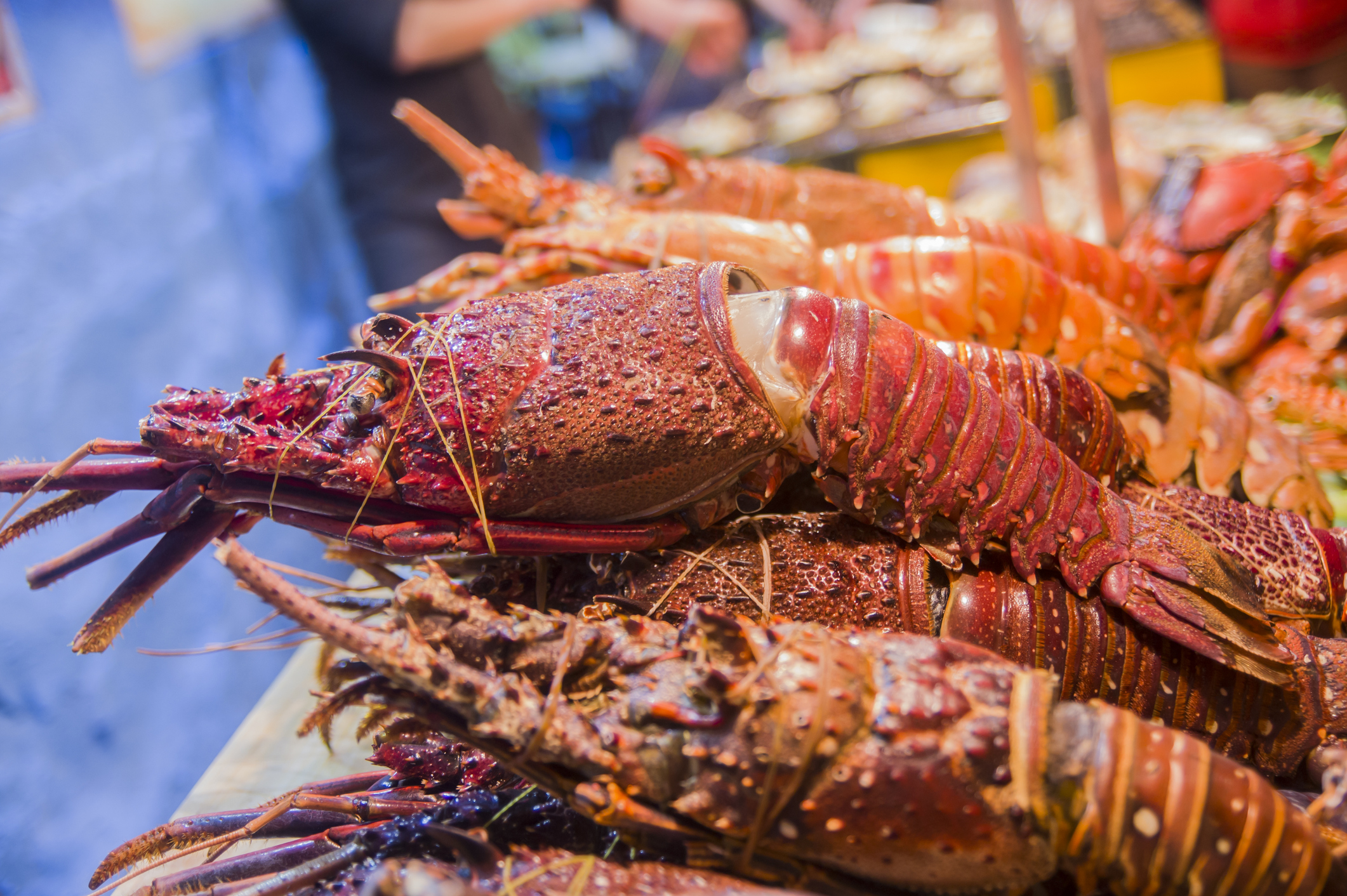 Article image for Why you should go out and buy yourself a lobster