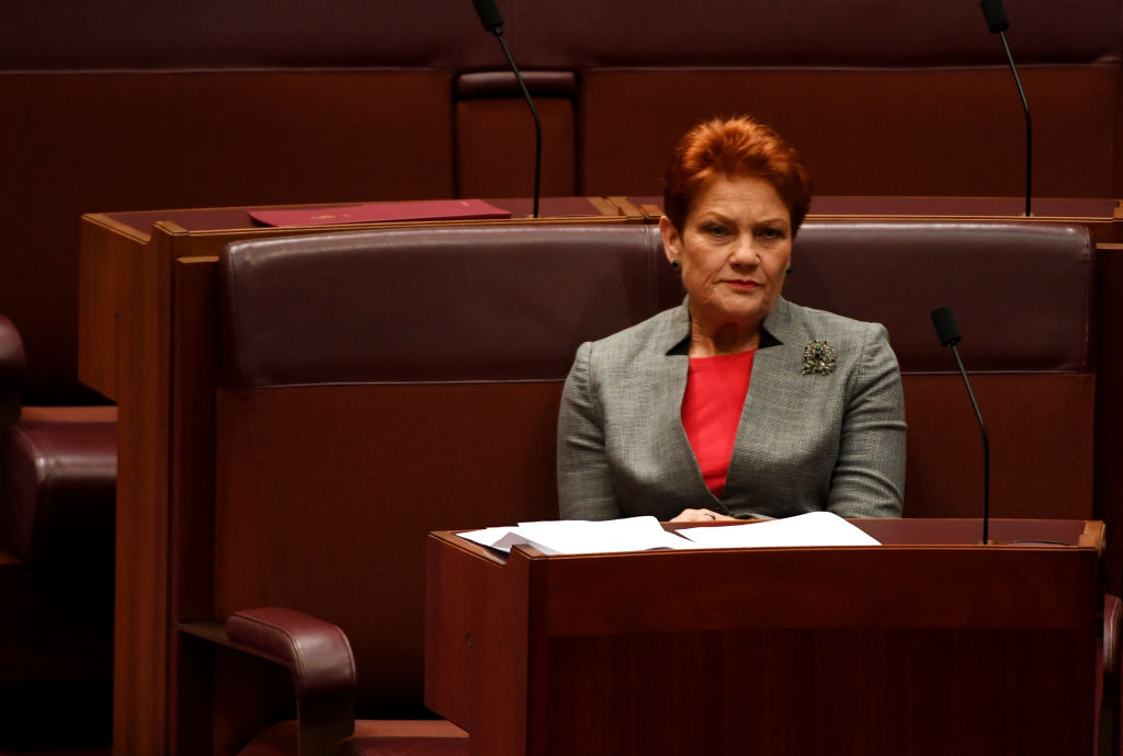 Article image for Pauline Hanson to introduce bill to tackle ‘indoctrination’ in the classroom