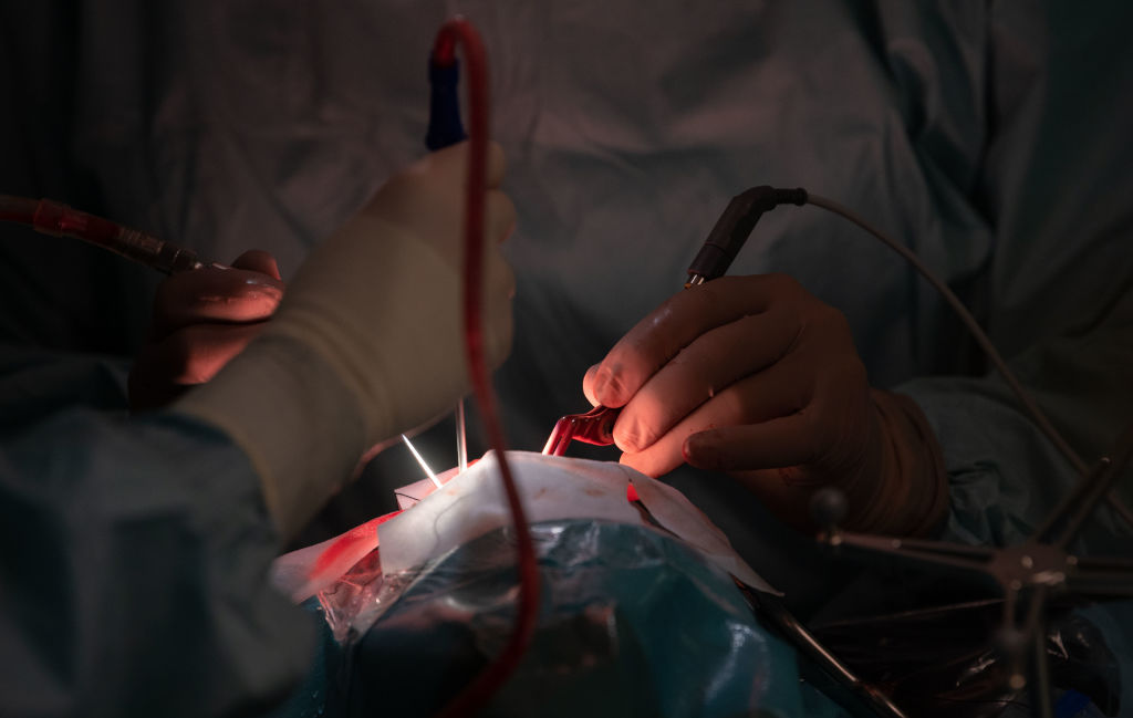 Article image for Why a woman played violin during surgery to remove a tumour from her brain