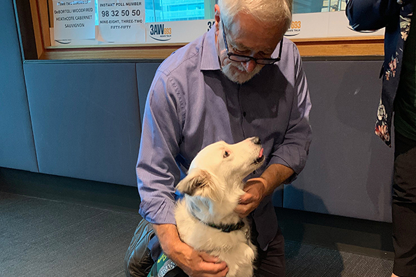 Article image for The emotional (and important) story behind Dusty the border collie