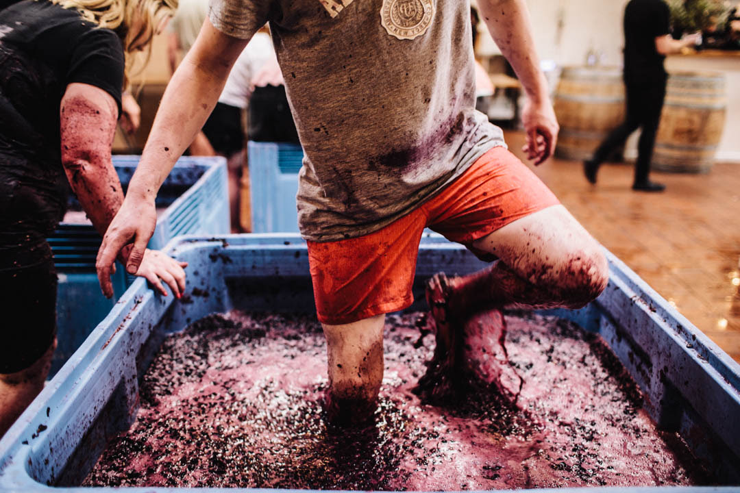 Article image for This Week in Food: Hands on winemaking + explore a mysterious suburb