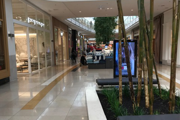 Article image for Chadstone shopping centre deserted as coronavirus fears grow