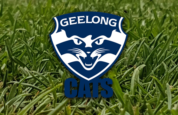 Article image for Geelong sanctioned by AFL for breaching player payment rules