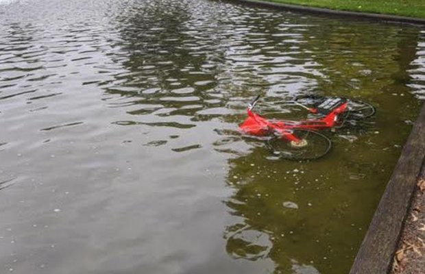 Article image for Vandals chuck new JUMP bike in pond at Carlton North