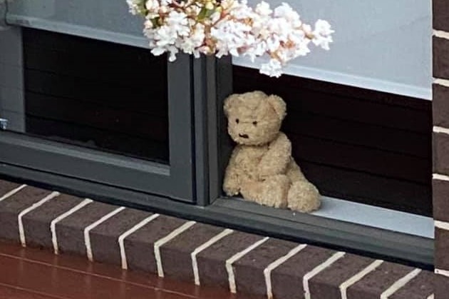 Article image for Why a Melbourne woman wants you to put a teddy bear in your window