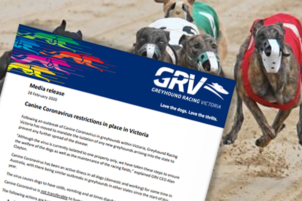 Article image for Canine coronavirus: Greyhounds entering Victoria to be isolated amid outbreak