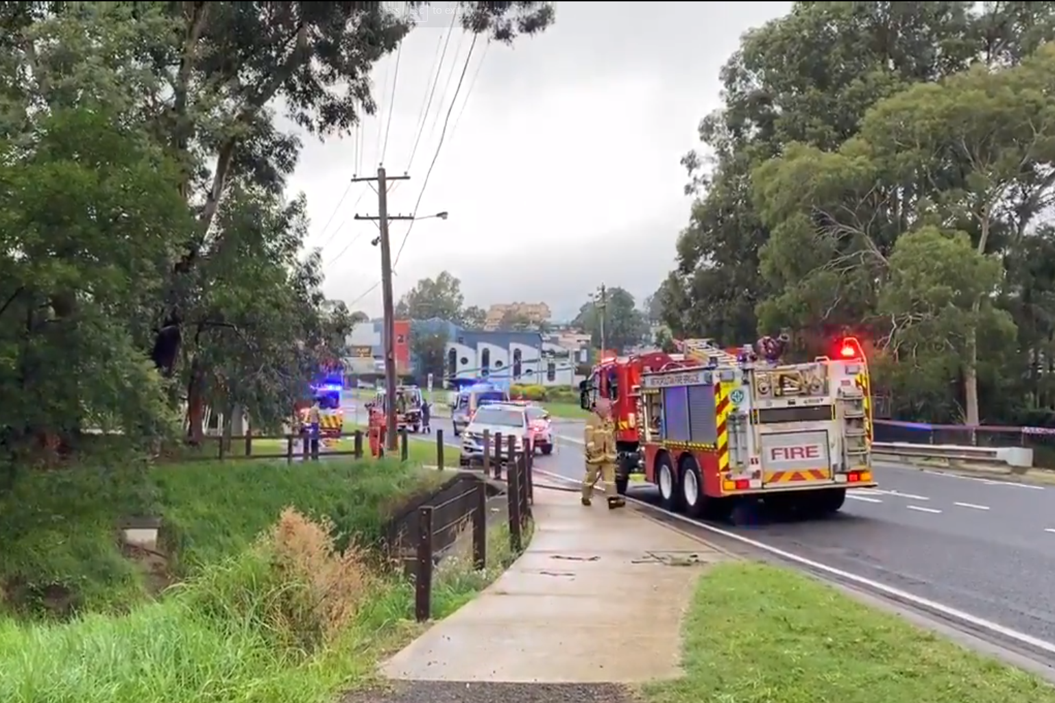 Article image for Pair hospitalised after being struck by a ‘huge’ tree and stung by bees in Melbourne’s north-east