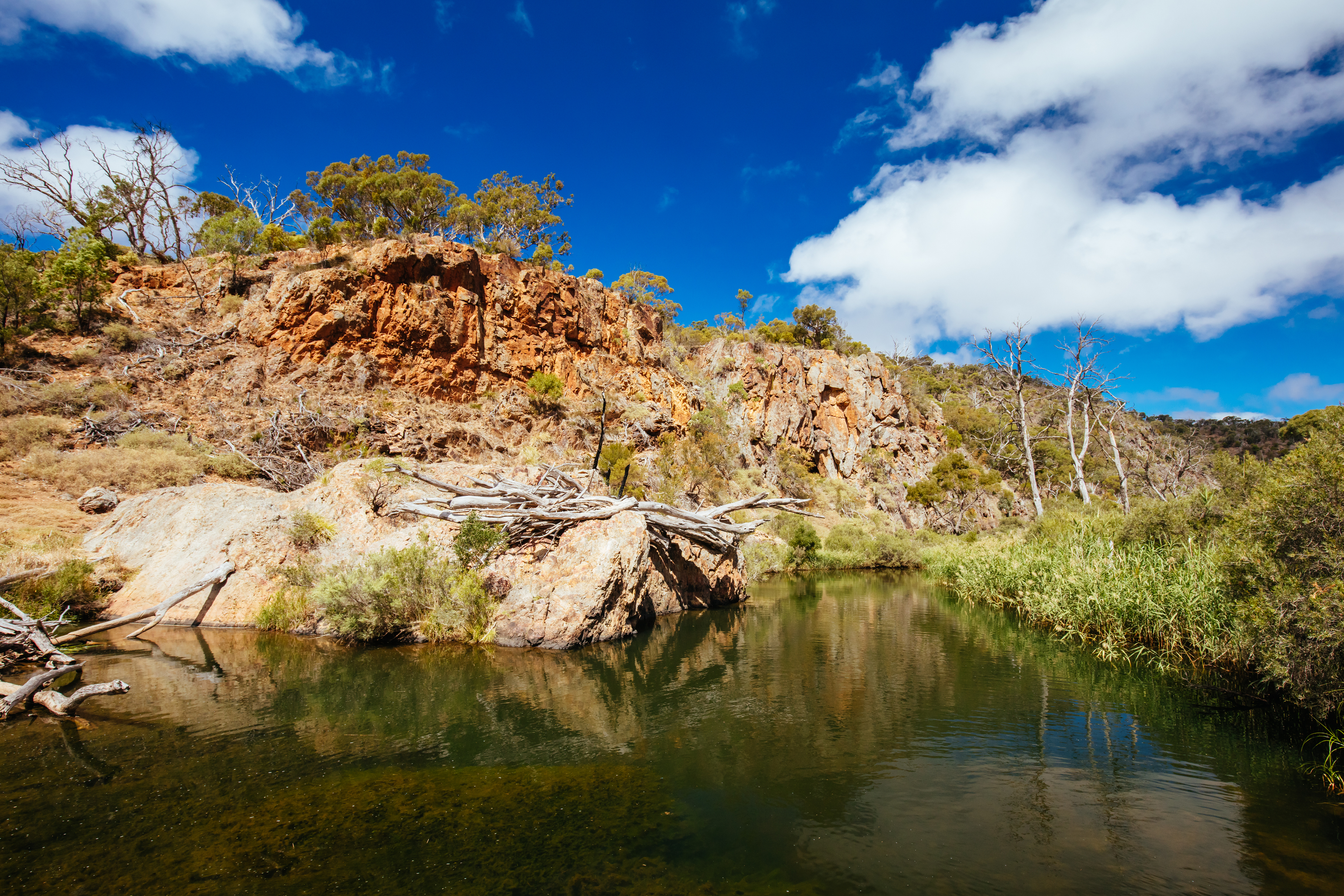 Article image for Parks Victoria closes popular national parks in bid to curb COVID-19 spread