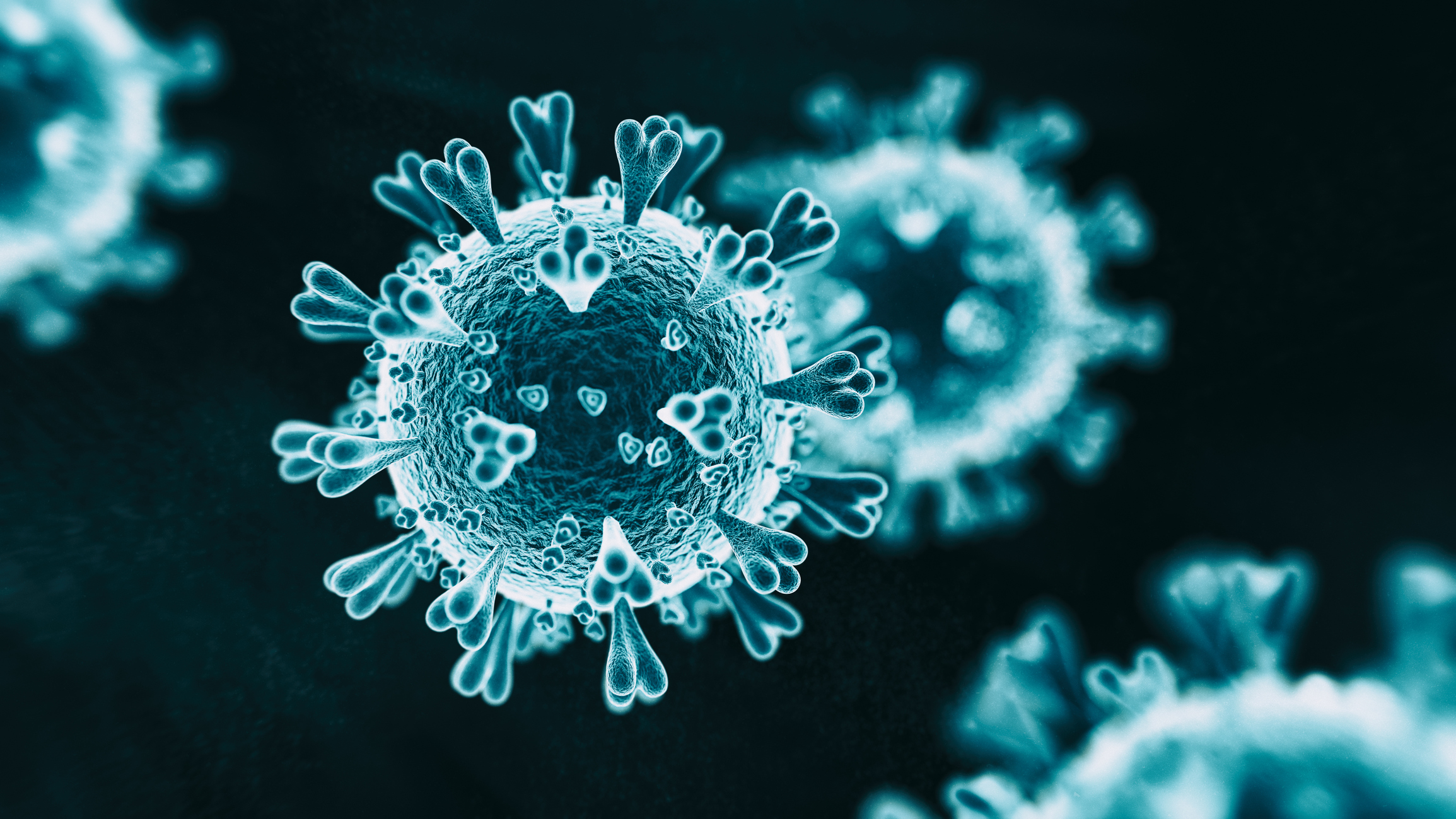 Article image for Latest COVID-19 data: Another Victorian dies from coronavirus, but cases drop