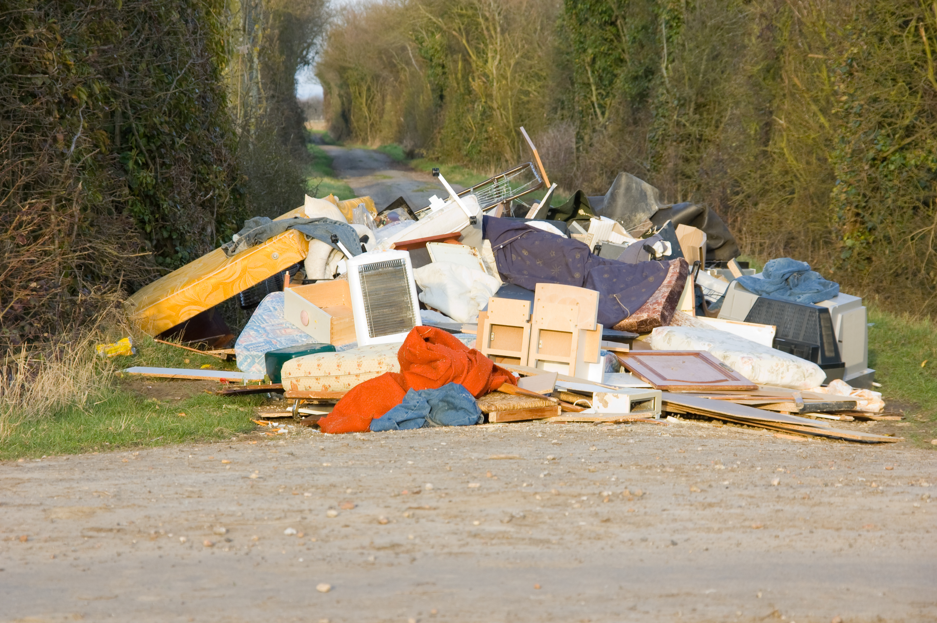 Article image for Why illegal rubbish dumping has surged during the COVID-19 crisis