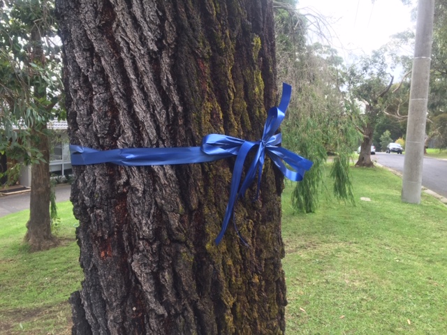 Article image for Blue blitz: Victoria turns blue with tributes to fallen police